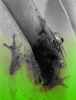 frog on leaf -- part v